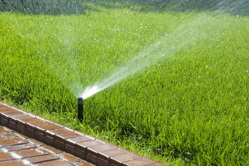 Improves lawn health
