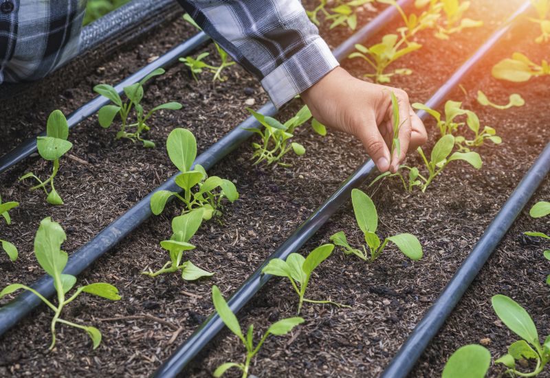 Commercial Irrigation Service in Aiken, SC