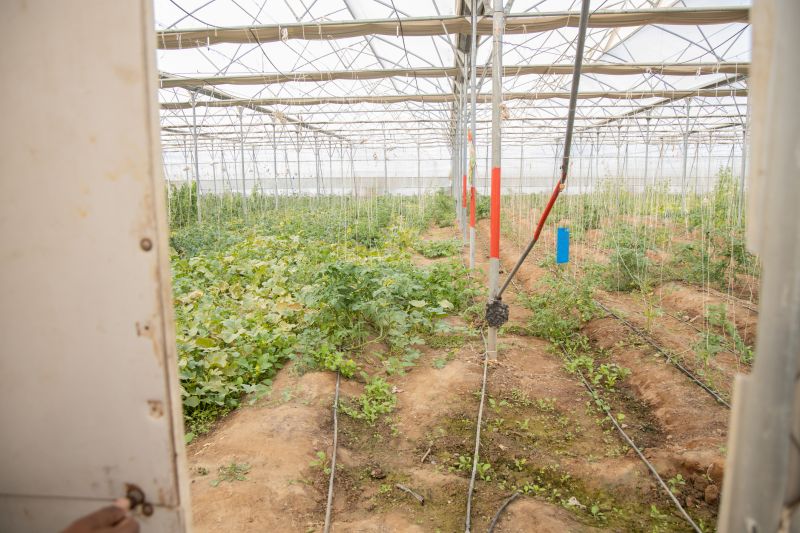 Commercial Irrigation Service in Honolulu, HI