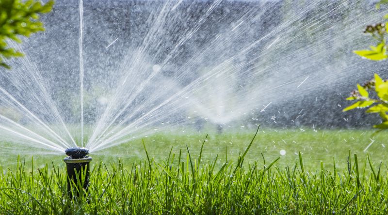 Lawn Sprinkler Installation in Aiken, SC