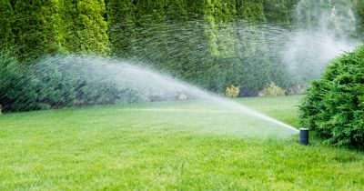 Specialized Sprinkler Repair Services